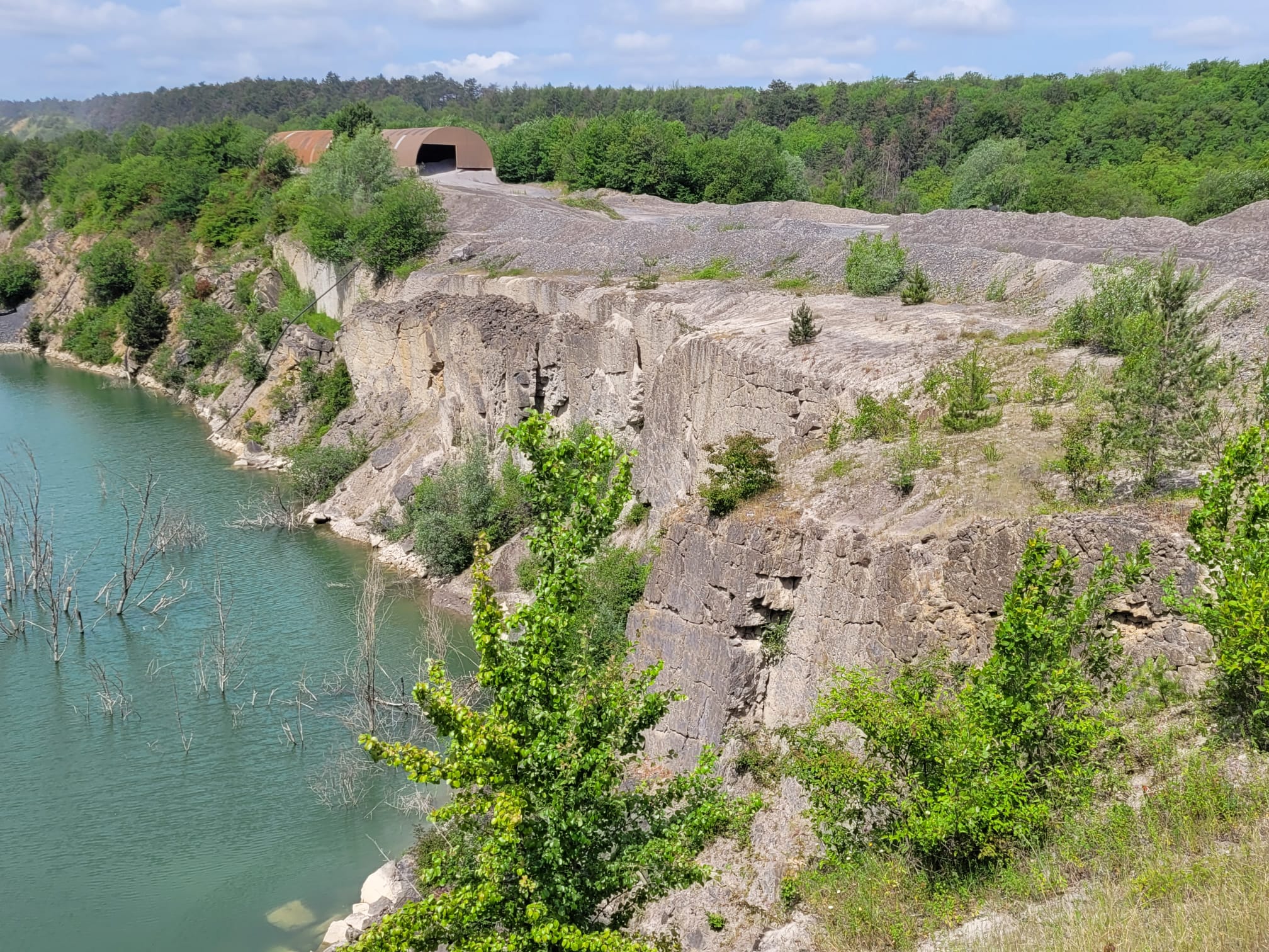 CFV fin d'exploitation - biodiversité